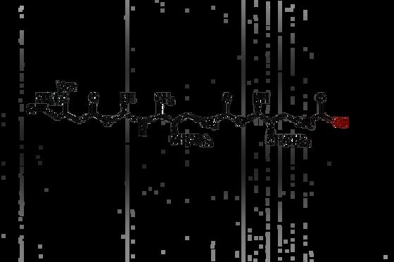 Intermedio peptidico Boc-N-Me-Val-Val CAS 863781-44-6 Derivato di amminoacido N-metilato